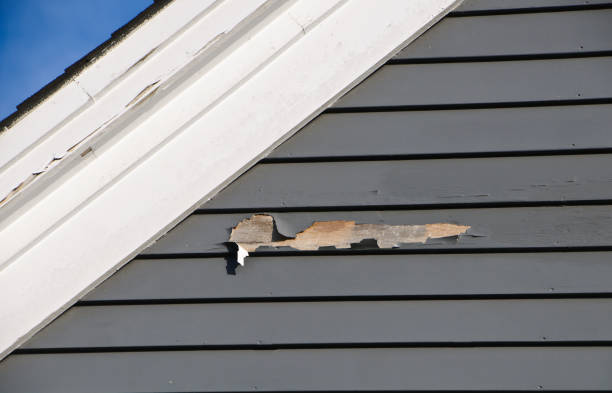 Best Fascia and Soffit Installation  in Pleasant Grove, AL