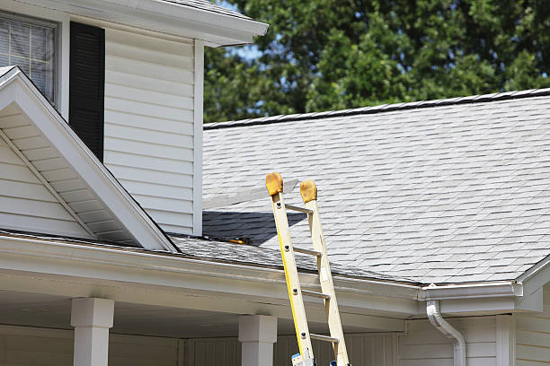 Best Siding Painting and Refinishing  in Pleasant Grove, AL