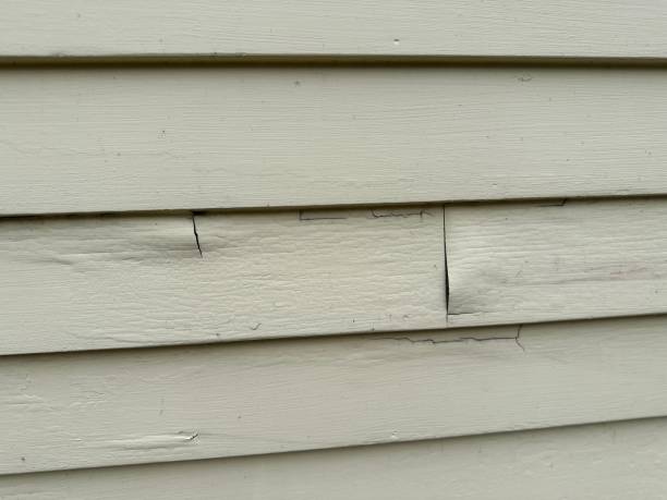 Best Siding for New Construction  in Pleasant Grove, AL